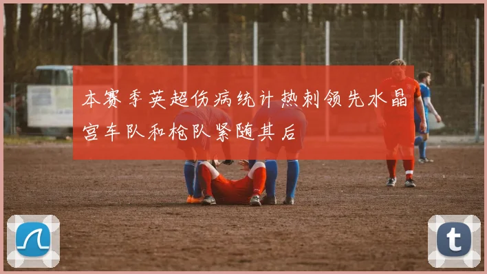 本赛季英超伤病统计热刺领先水晶宫车队和枪队紧随其后