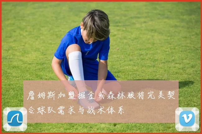 詹姆斯加盟掘金或森林狼将完美契合球队需求与战术体系