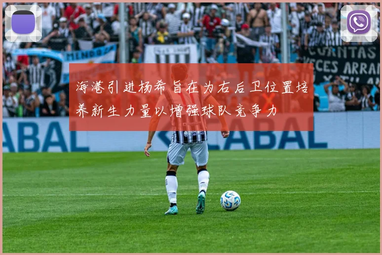 海港引进杨希旨在为右后卫位置培养新生力量以增强球队竞争力